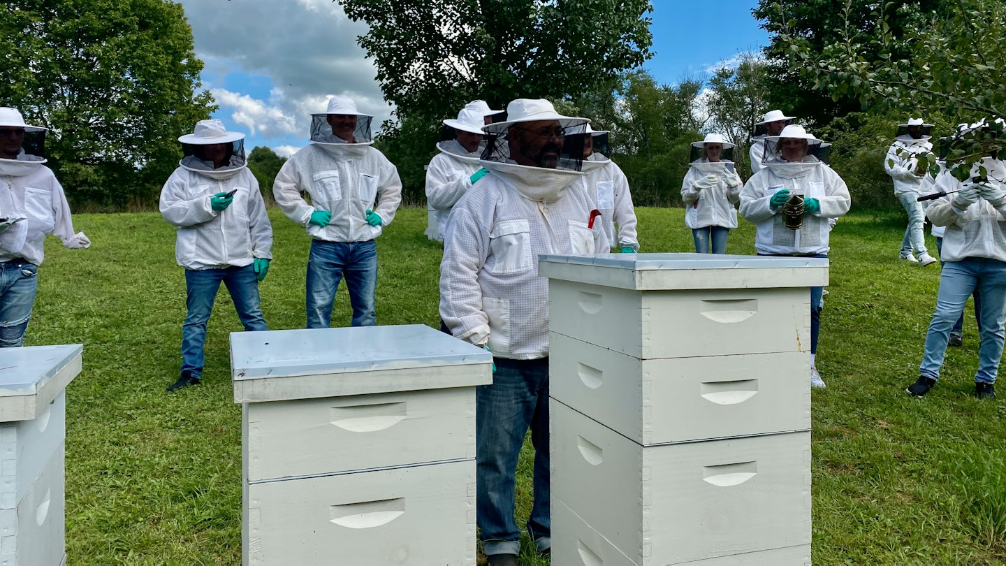 Beekeepers in protective suits examine hives in a field.